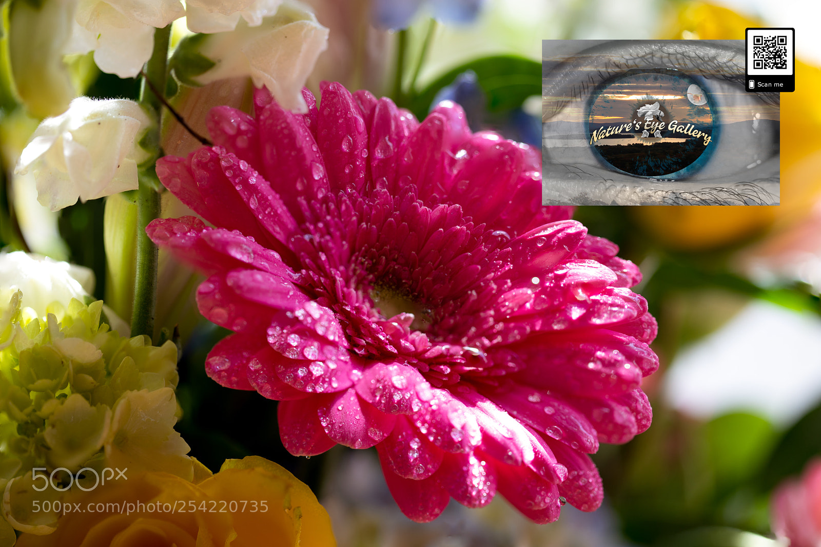 Canon EOS 5D Mark IV sample photo. Pink flower stack photography