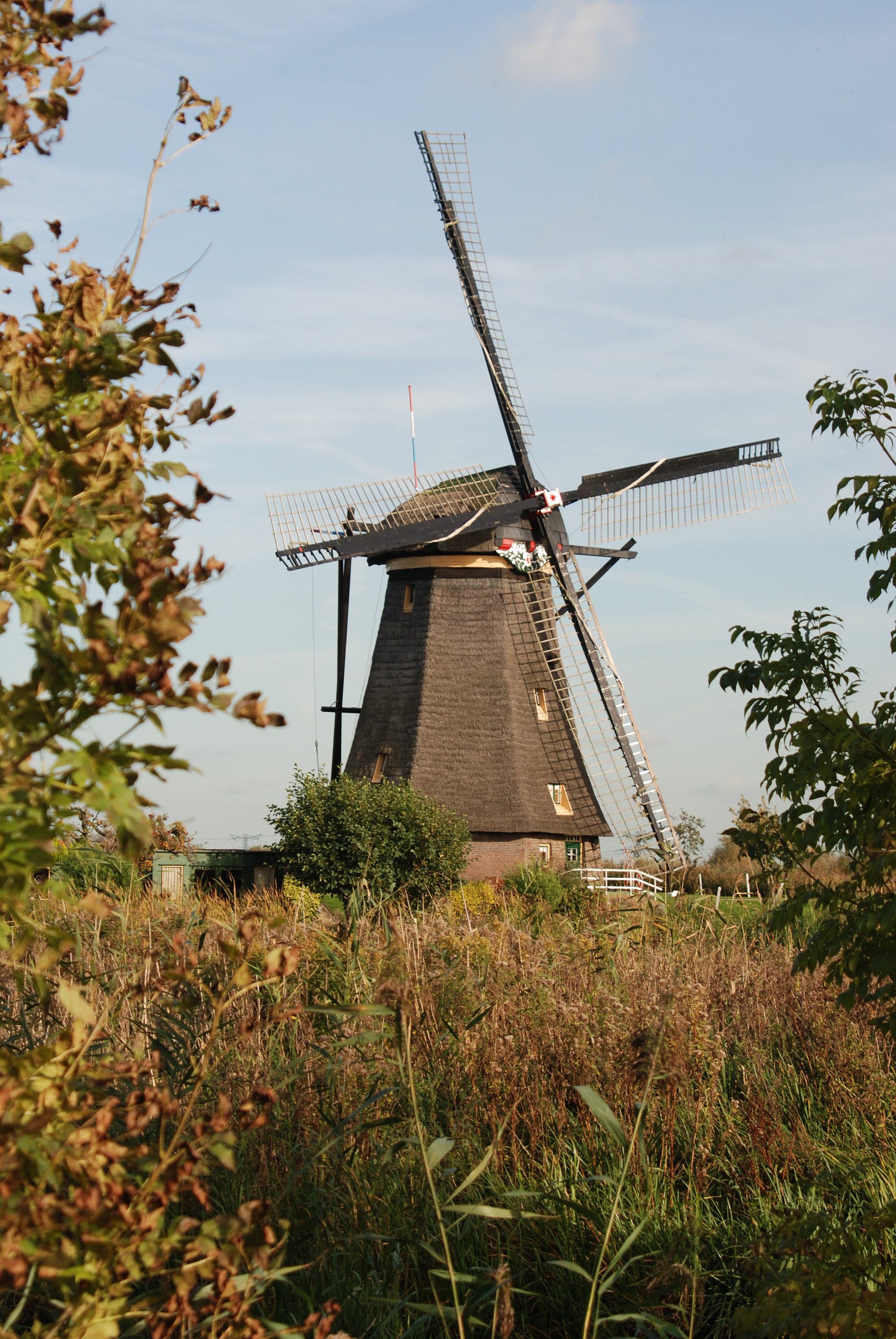 Nikon D80 sample photo. Windmill framed by grass and trees photography