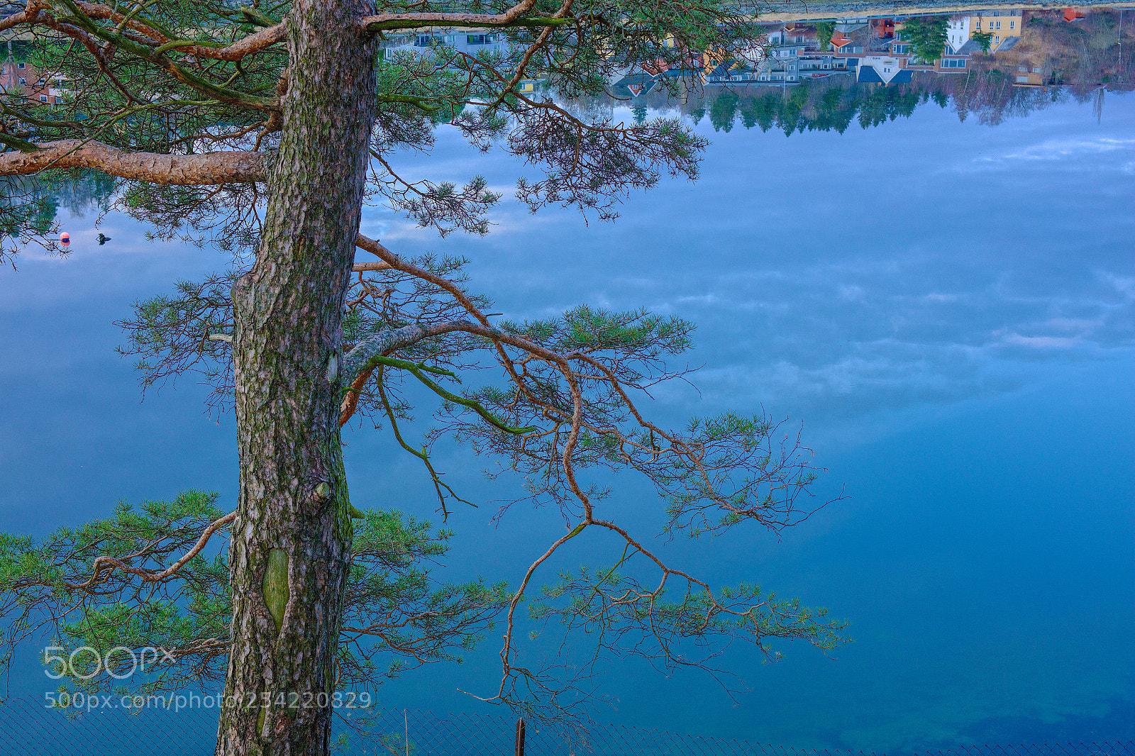 Canon EOS 5DS R sample photo. Ups and downs photography