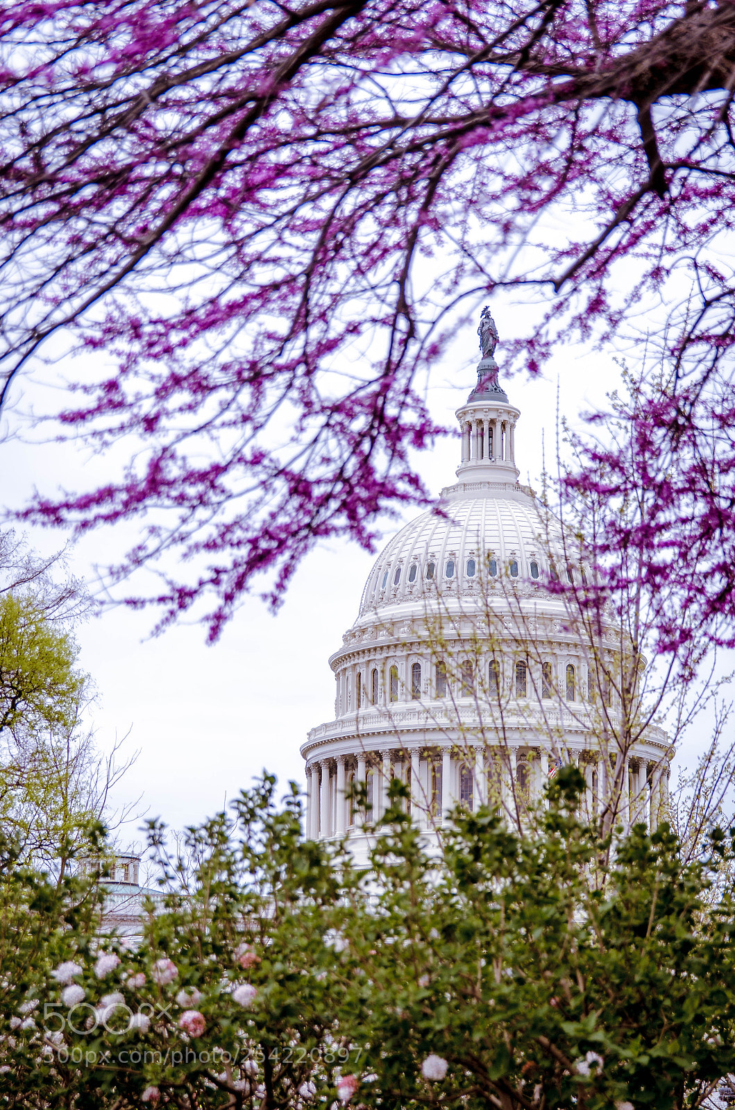 Nikon D7000 sample photo. Us capitol building photography