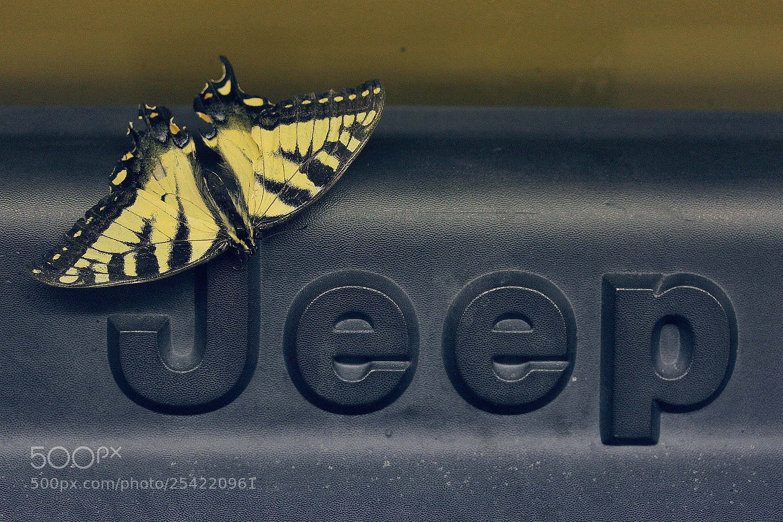 Canon EOS 60D sample photo. Jeep photography