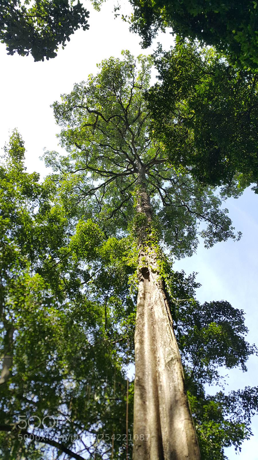 Samsung Galaxy Note4 sample photo. So high... photography