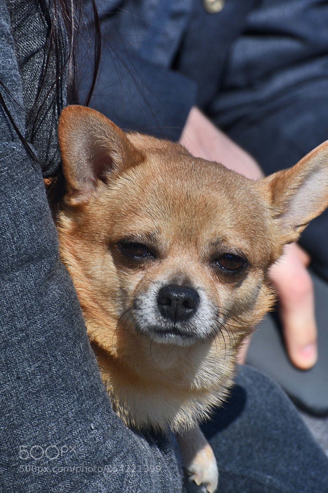 Nikon D3400 sample photo. A photography