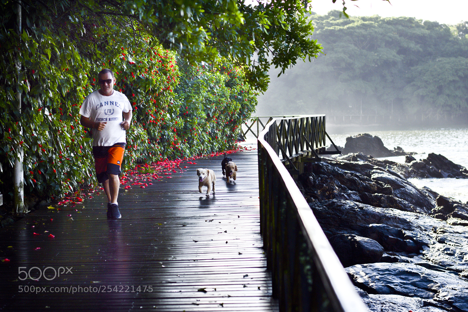 Nikon D5300 sample photo. Corrida matinal photography
