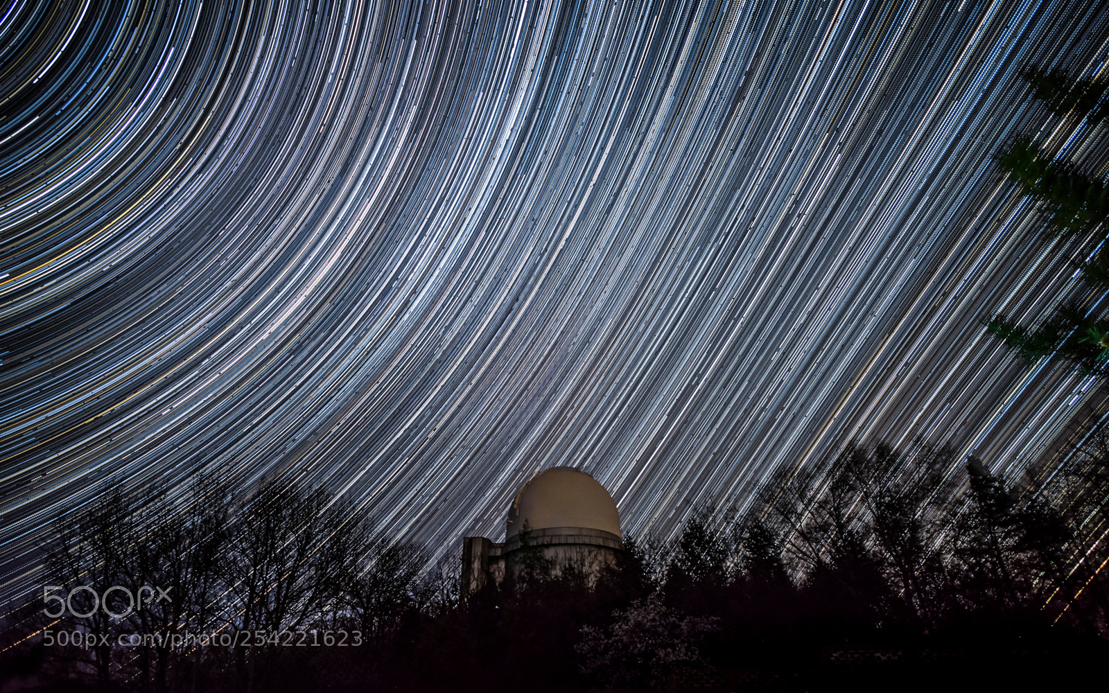 Nikon D810 sample photo. Star trail photography