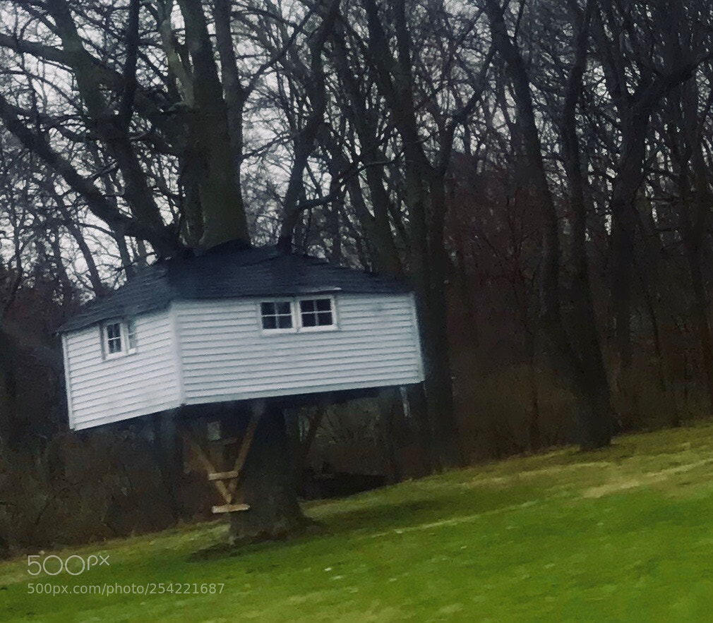 Apple iPhone 7 Plus sample photo. A real tree house... photography