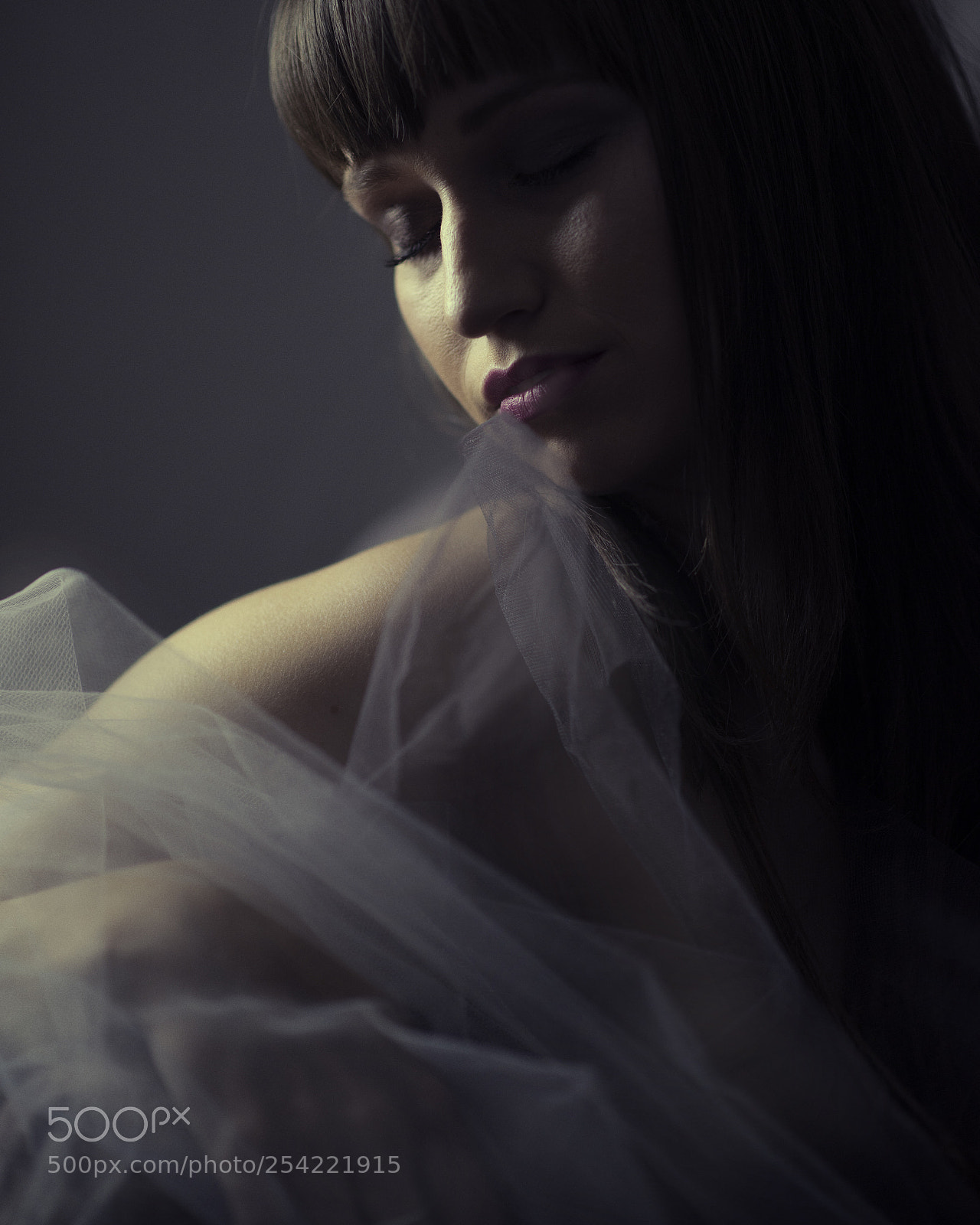 Nikon D610 sample photo. Untitled photography