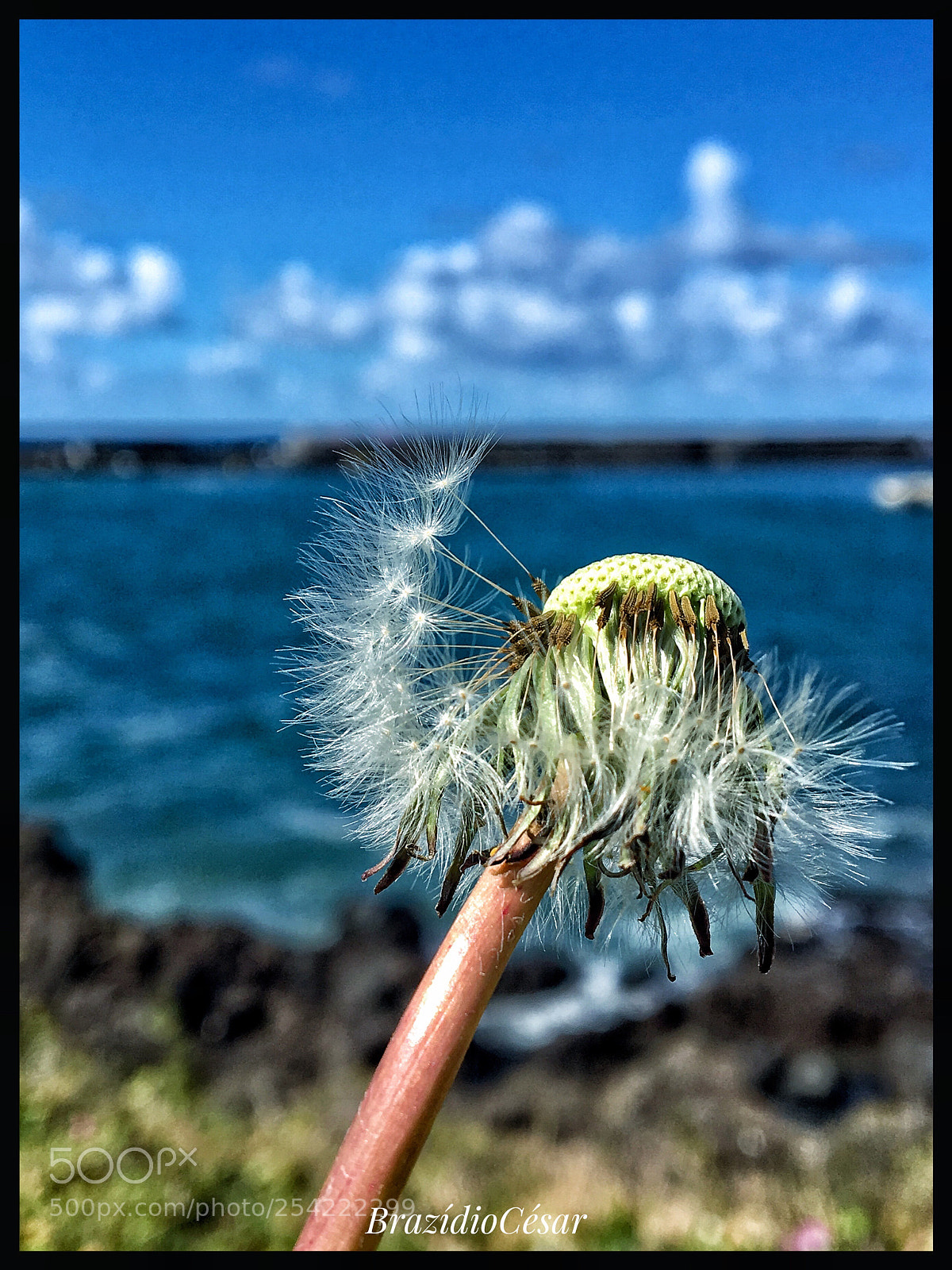 Apple iPhone 6s sample photo. Untitled photography