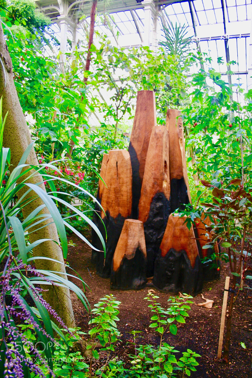 Canon EOS 350D (EOS Digital Rebel XT / EOS Kiss Digital N) sample photo. Untitled photography