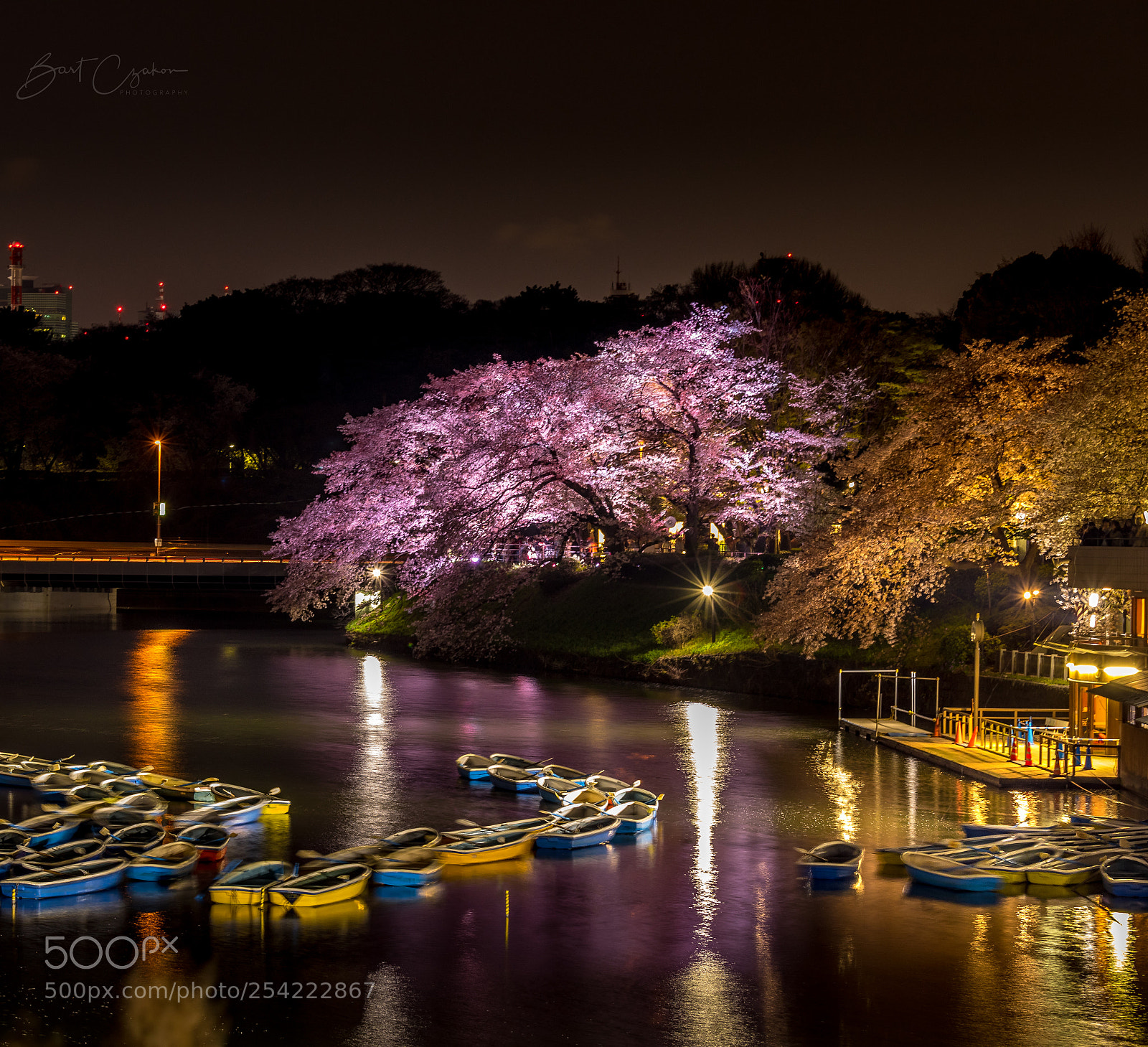 Canon EOS 5D Mark IV sample photo. Tokyo sakura at night photography