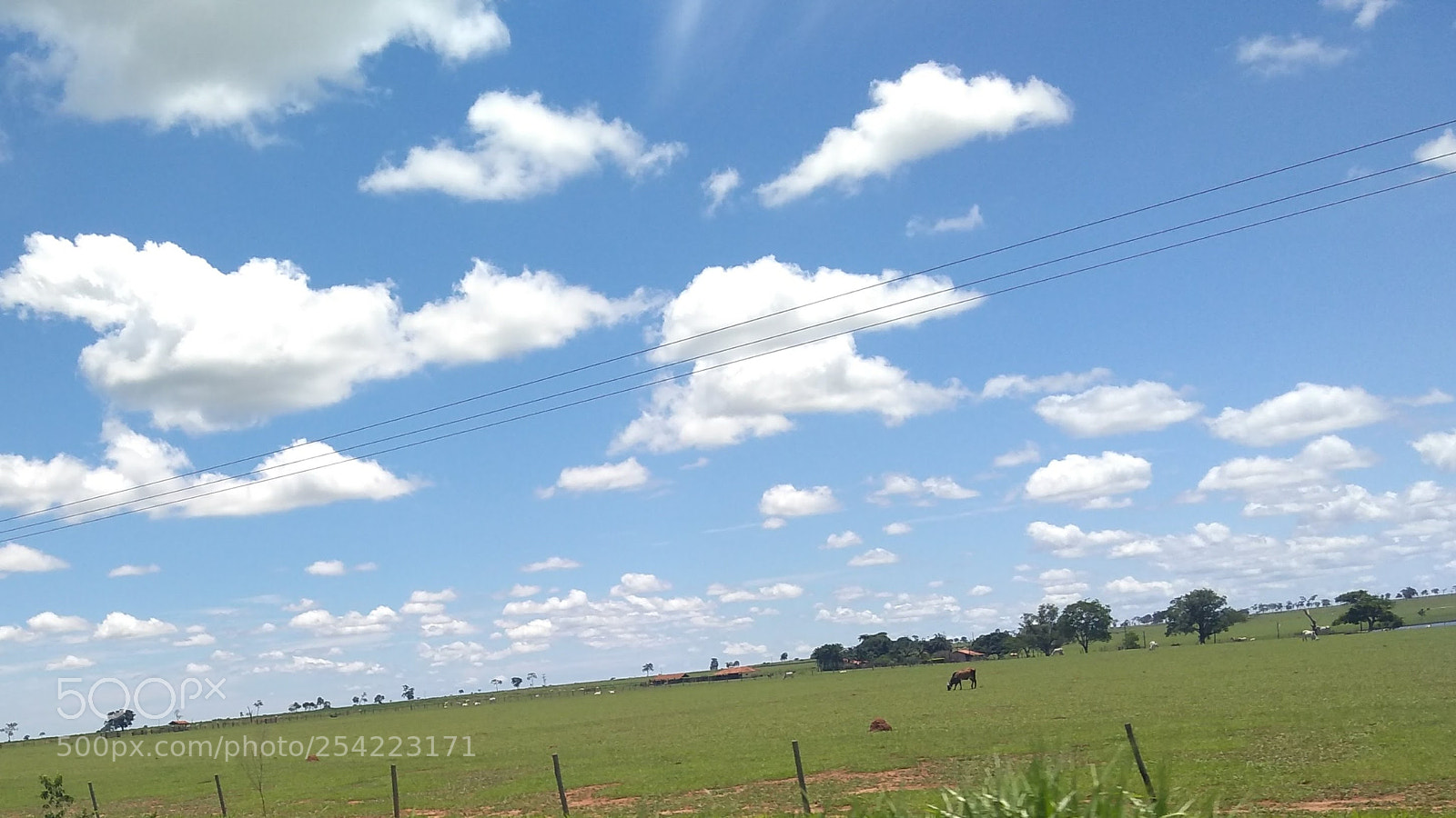 Motorola Moto G (5S) Plus sample photo. Countrified photography