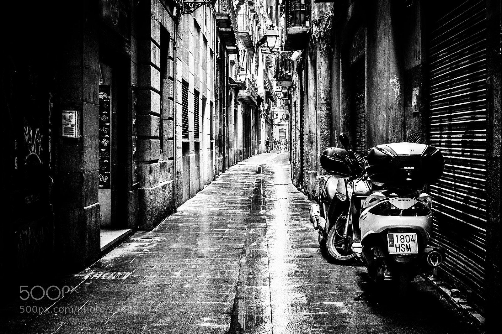 Fujifilm X-E1 sample photo. 1804 hsm photography