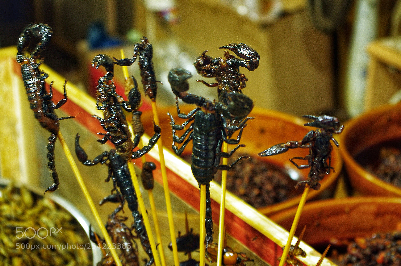 Pentax K-r sample photo. 小吃 photography