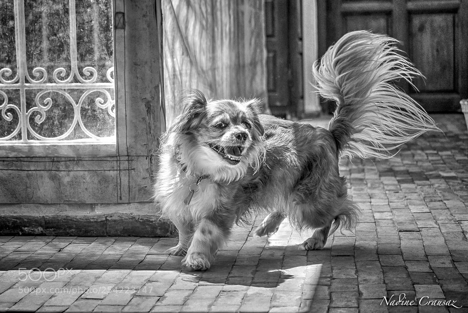 Fujifilm X-T2 sample photo. Untitled photography