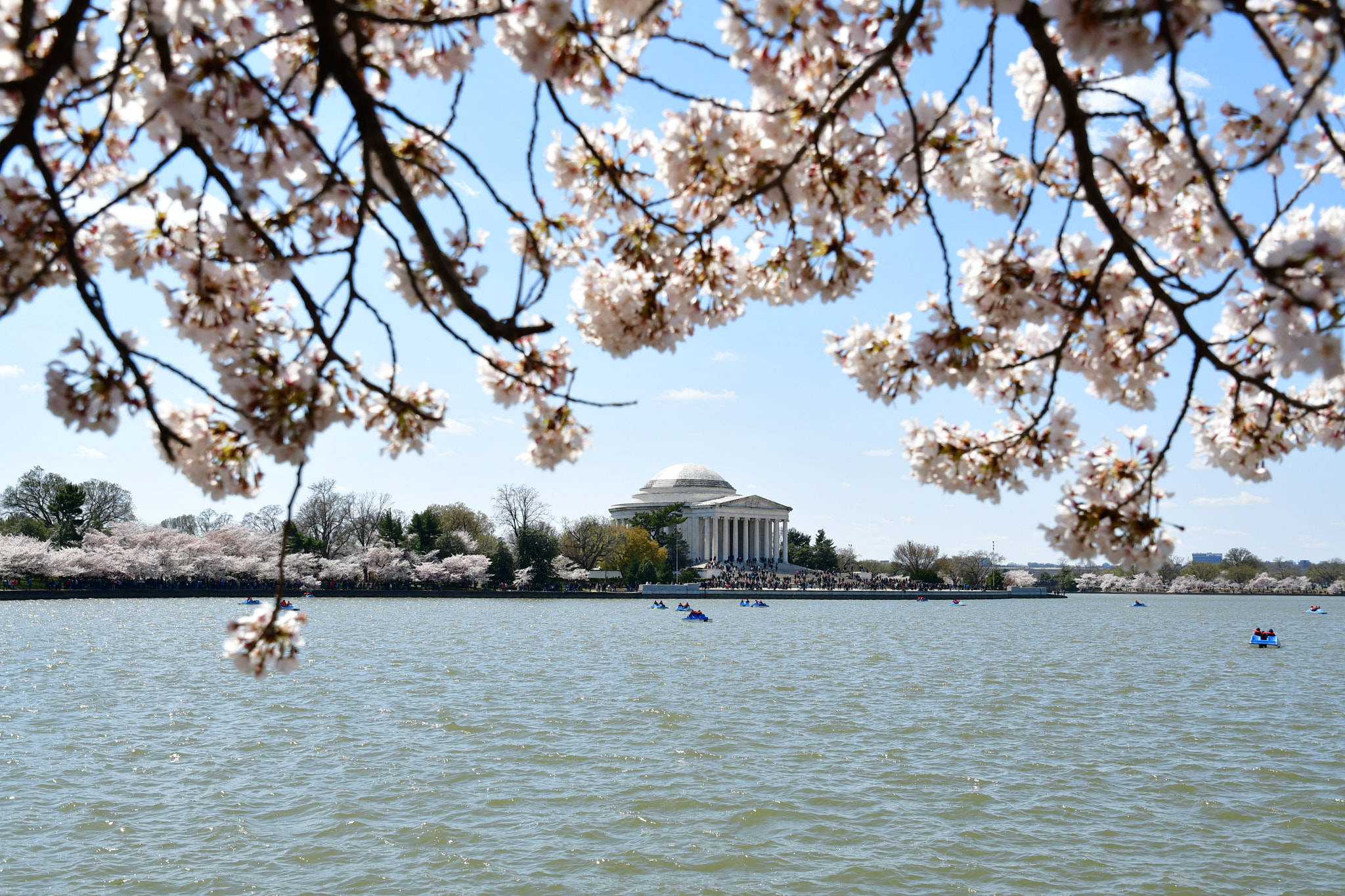 Nikon D7500 sample photo. Tidal basin  photography