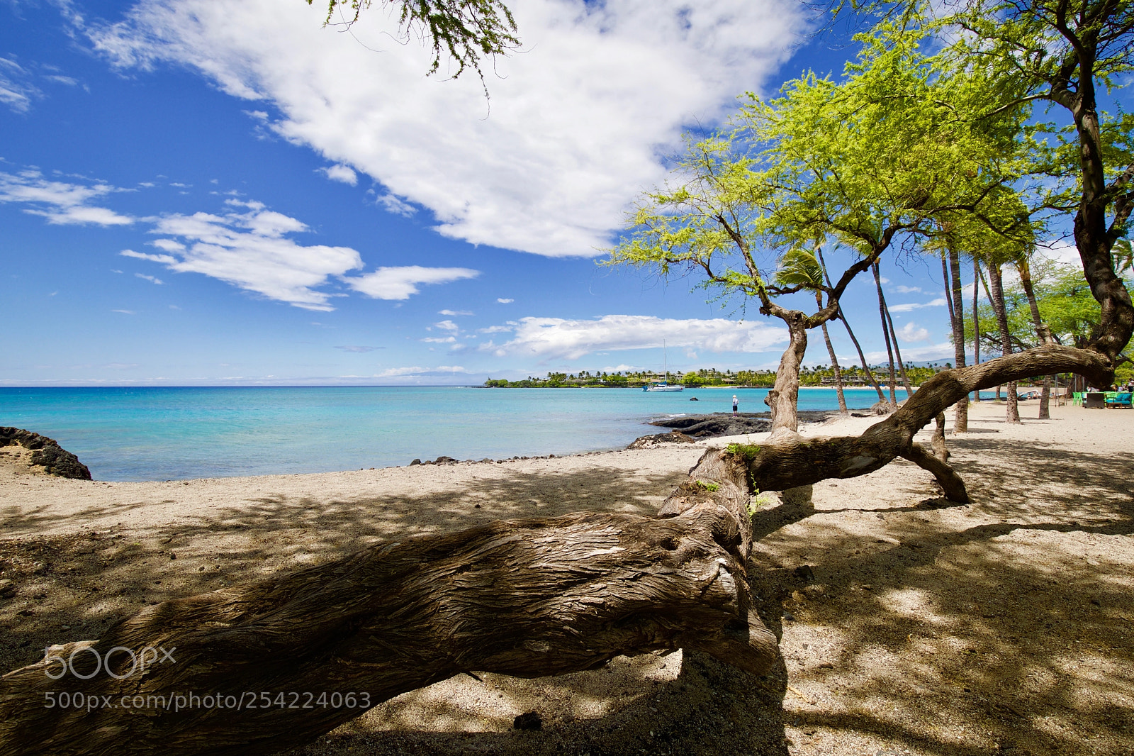 Canon EOS 5D Mark IV sample photo. Waikoloa village photography