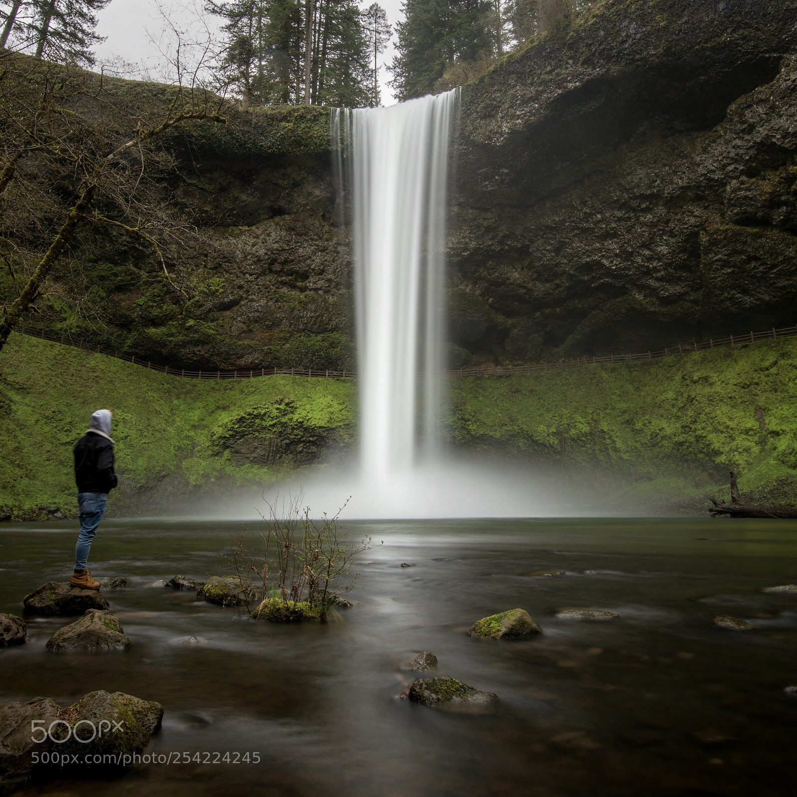 Nikon D810 sample photo. Silver falls photography