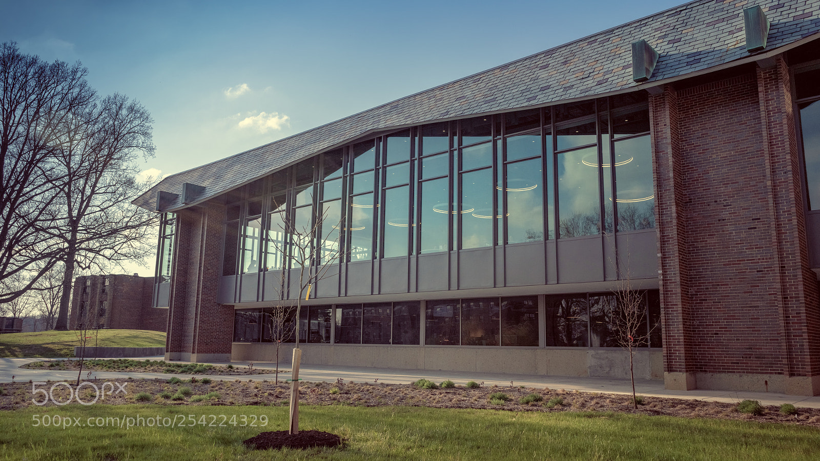Sony a7R III sample photo. Dsc photography