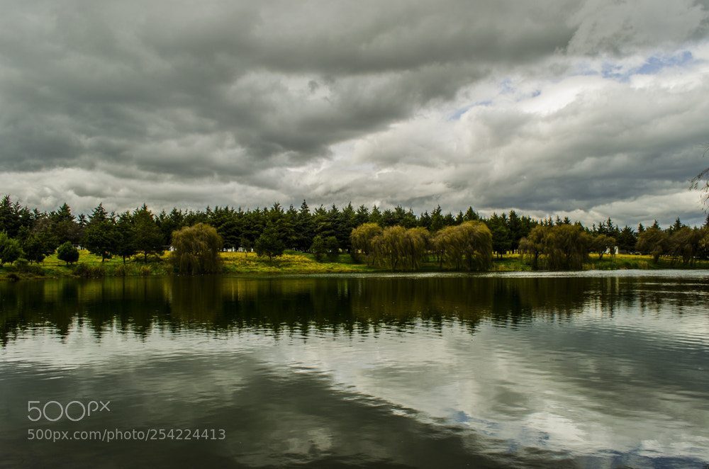 Nikon D5100 sample photo. Lago de parque alameda 2000. photography