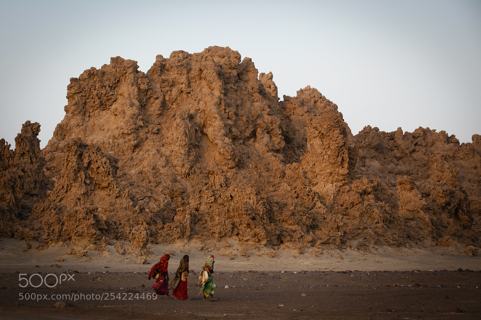 Canon EOS 5D Mark II sample photo. Windswept at dusk photography