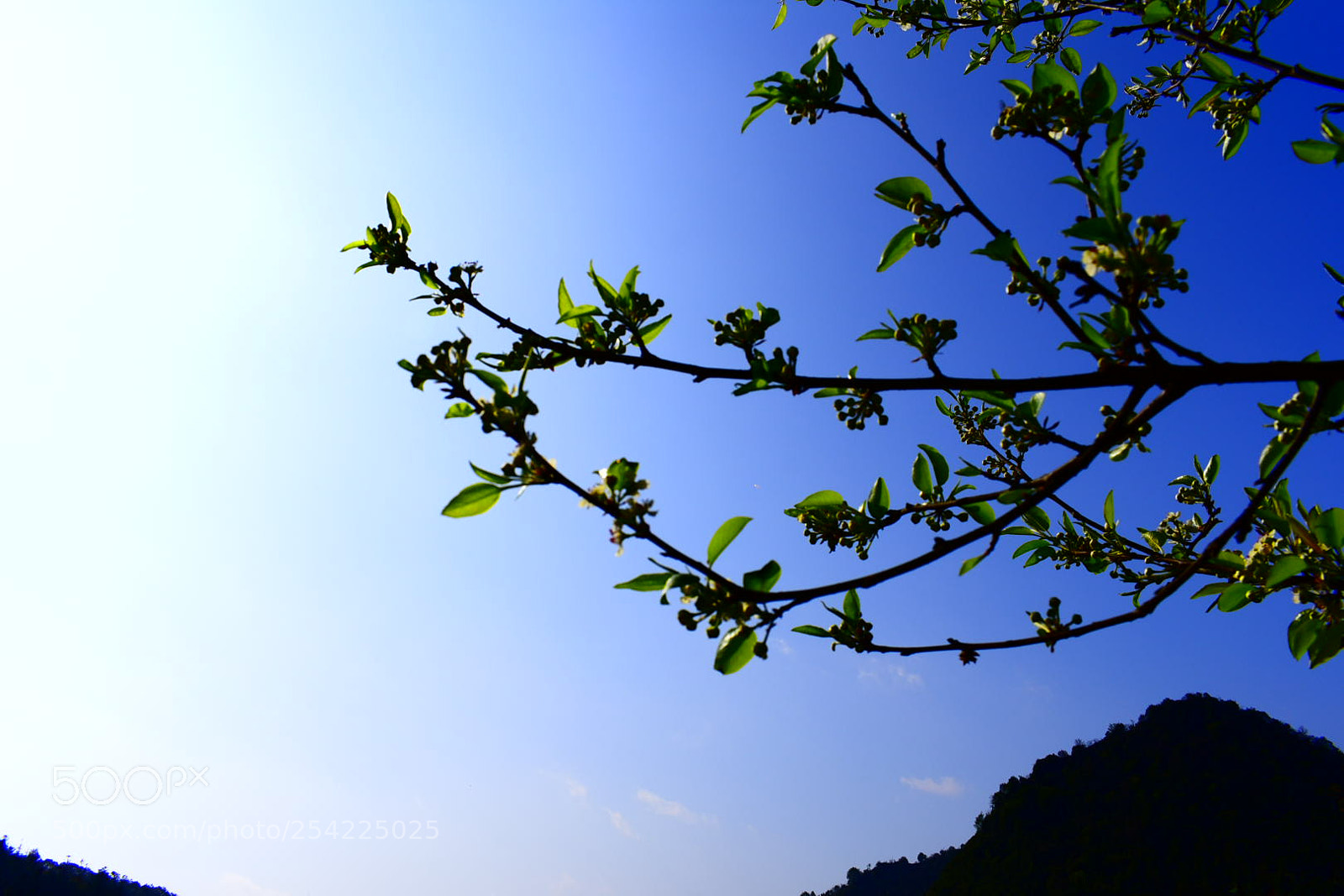 Nikon D3400 sample photo. Untitled photography