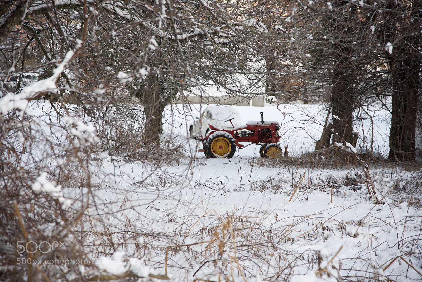 Nikon D750 sample photo. Red tractor  photography