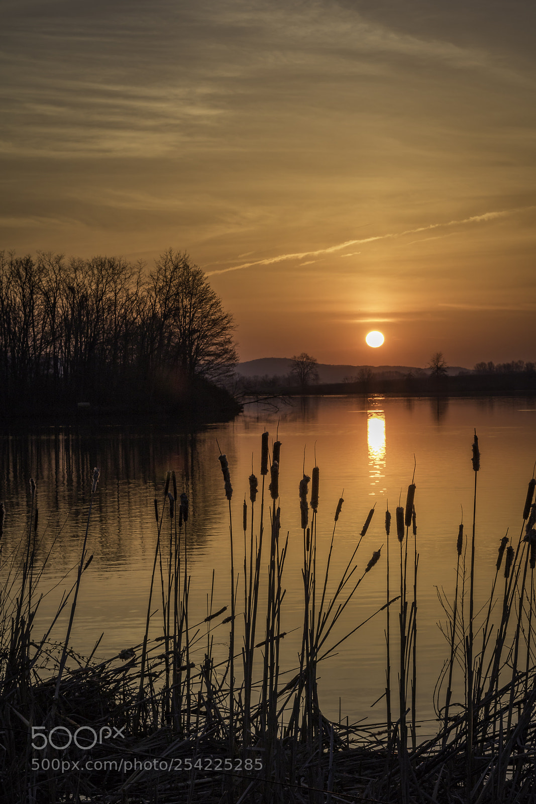 Canon EOS 750D (EOS Rebel T6i / EOS Kiss X8i) sample photo. Sunrise at the creek photography