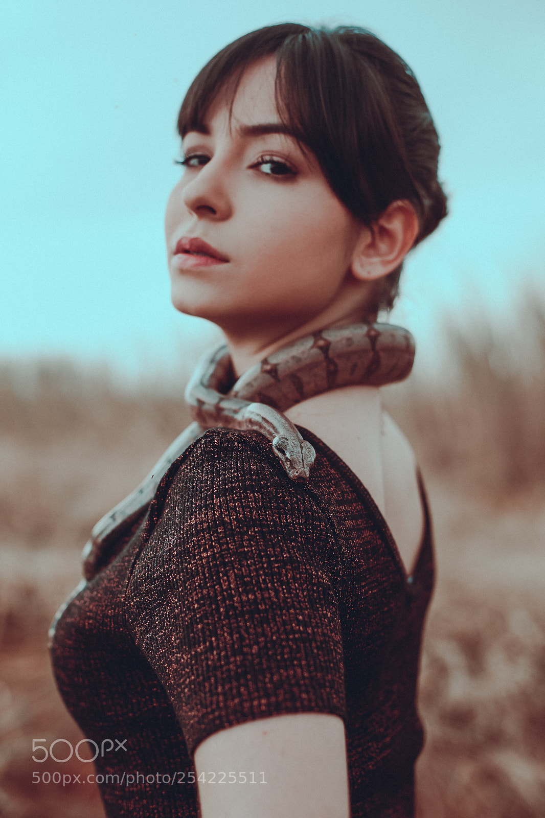 Canon EOS 5D Mark II sample photo. Img photography