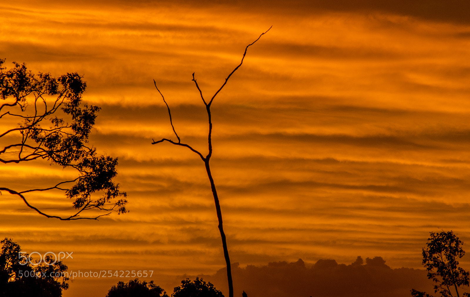 Nikon D7000 sample photo. Orange sky photography