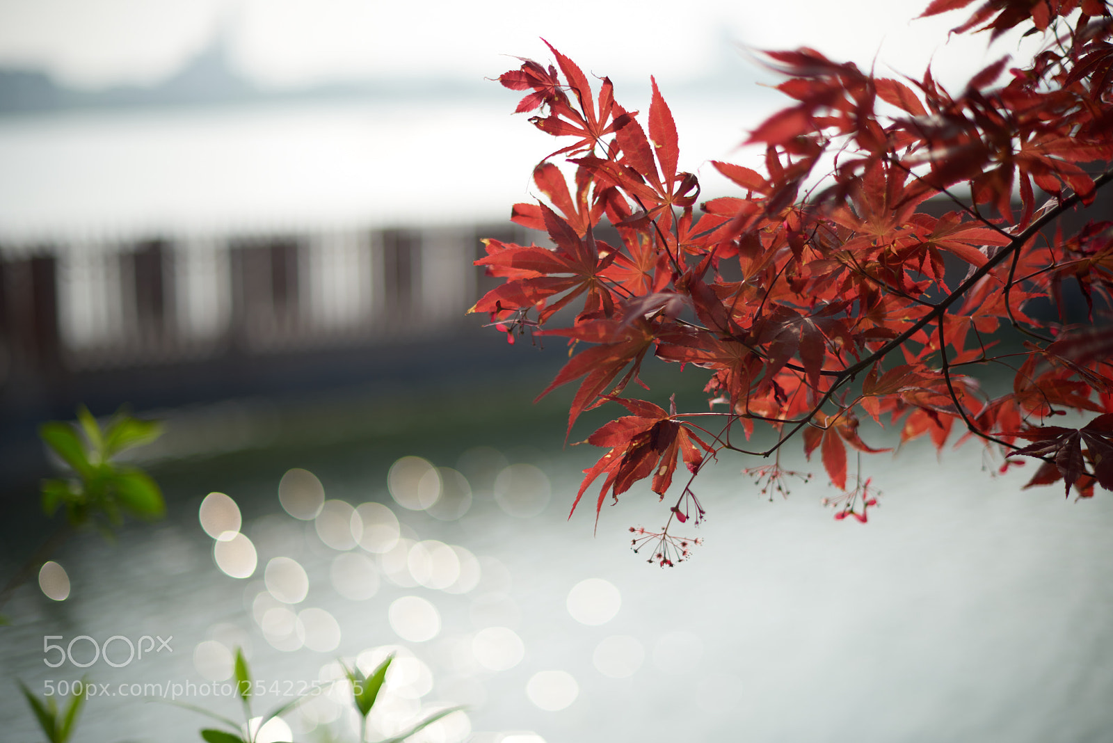 Nikon D810 sample photo. Waterside photography