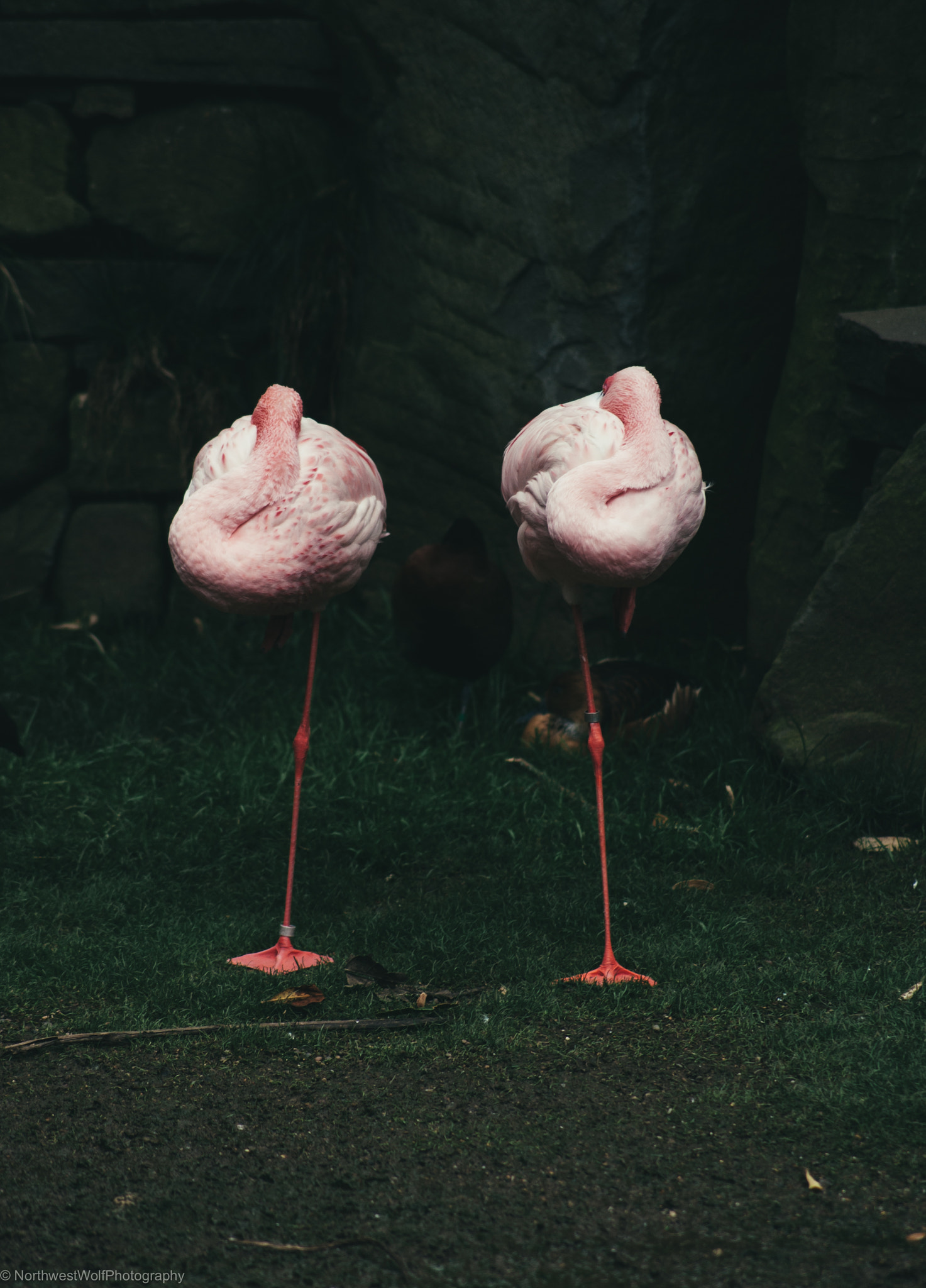 Sony Alpha DSLR-A330 sample photo. Symmetry photography