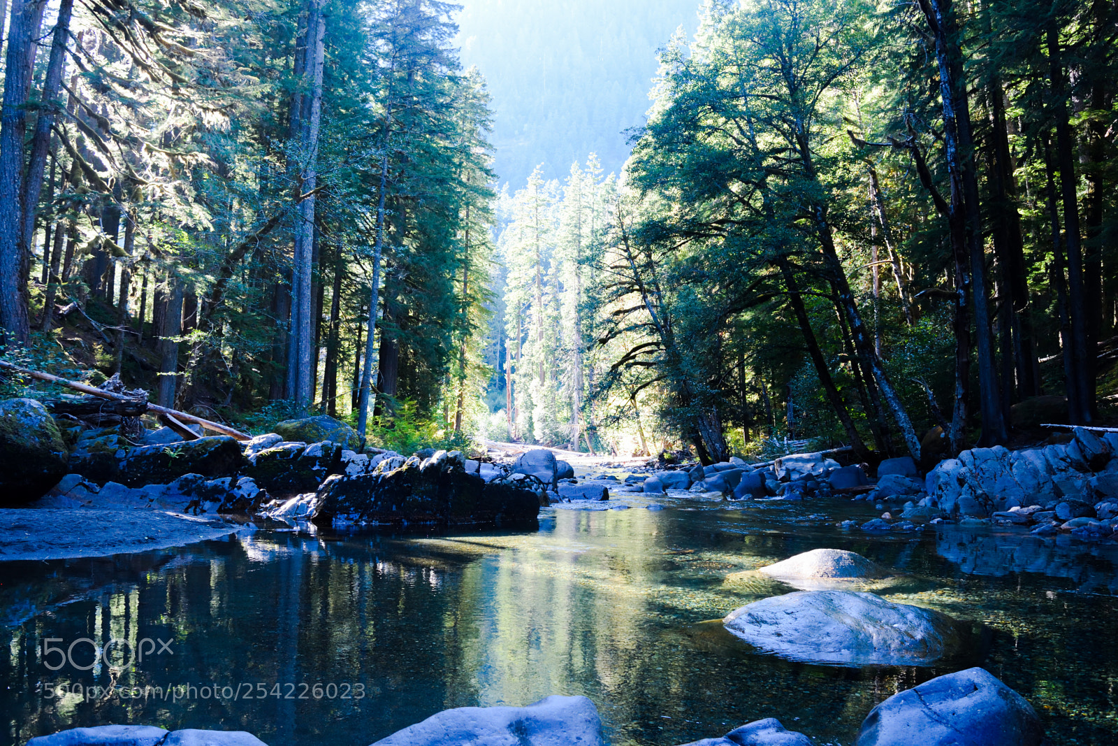 Nikon D3300 sample photo. Ohanapecosh river photography
