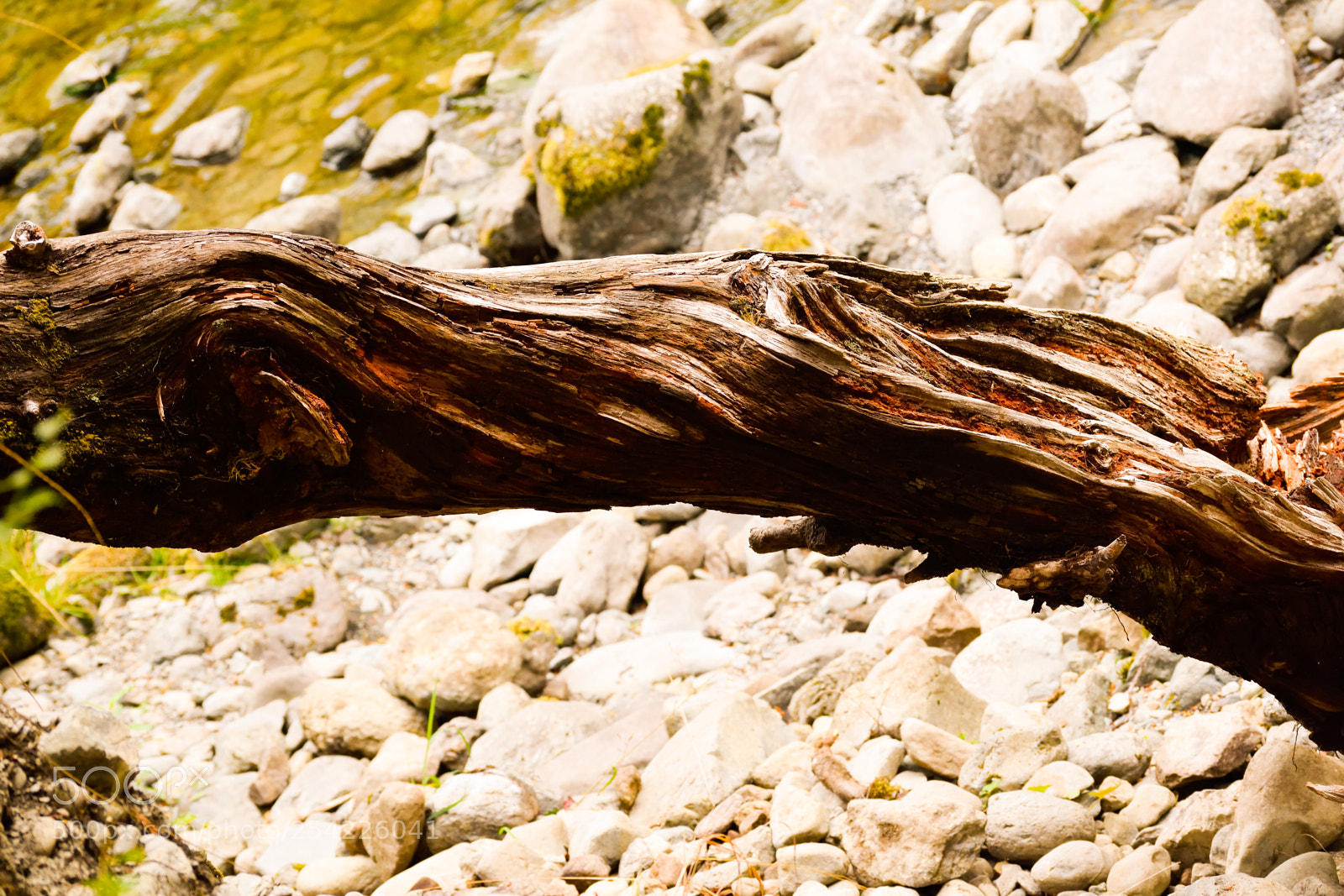 Nikon D3300 sample photo. Log bridge over rocks photography