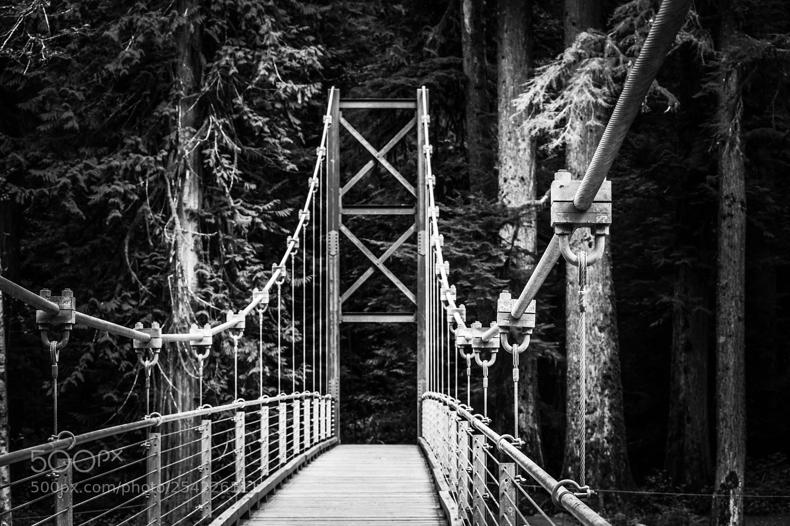 Nikon D3300 sample photo. Bridge of loneliness photography