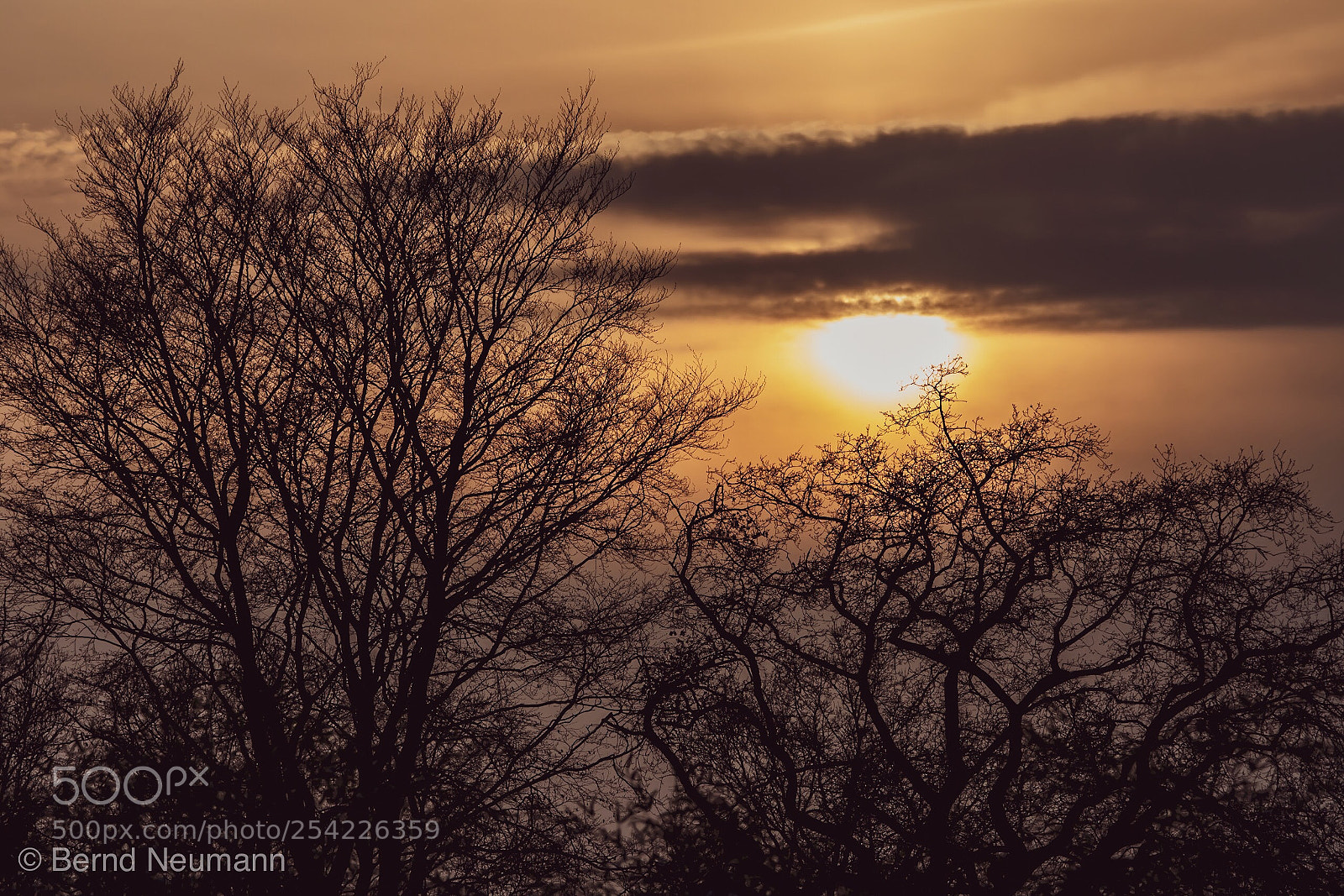 Nikon D7500 sample photo. Sundown in hamburg photography