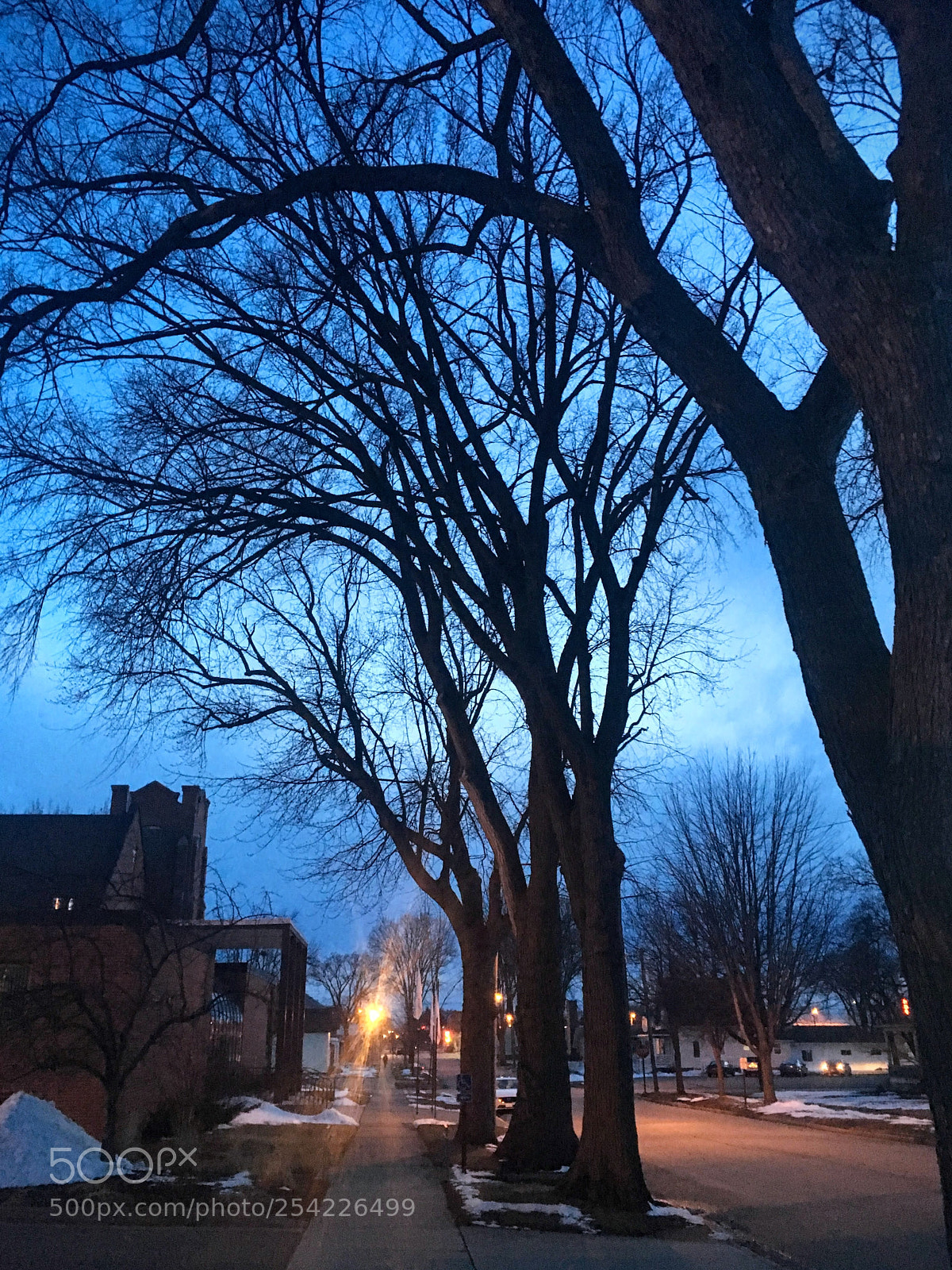 Apple iPhone SE sample photo. On my walk home photography