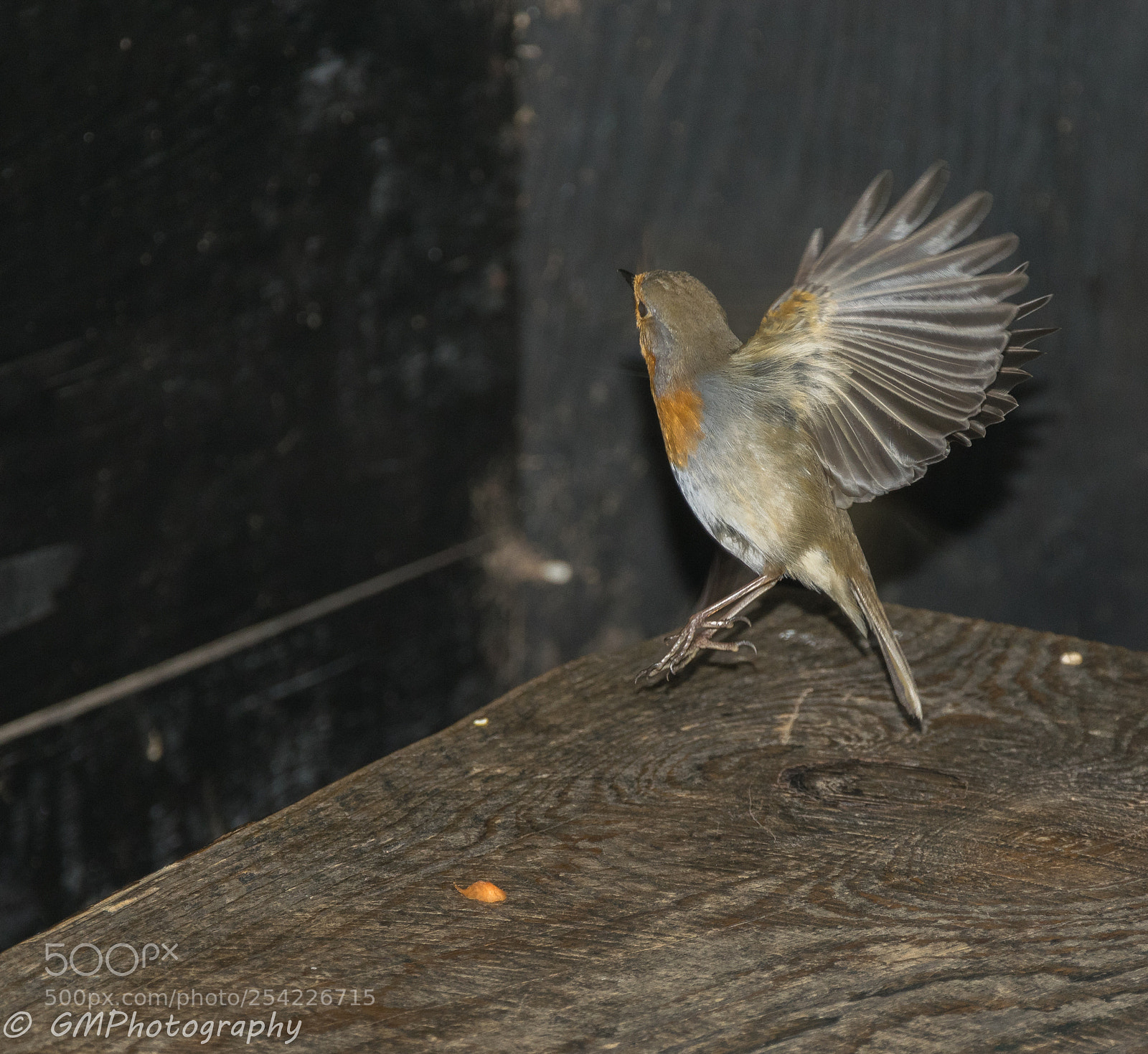 Nikon D3300 sample photo. Take off photography