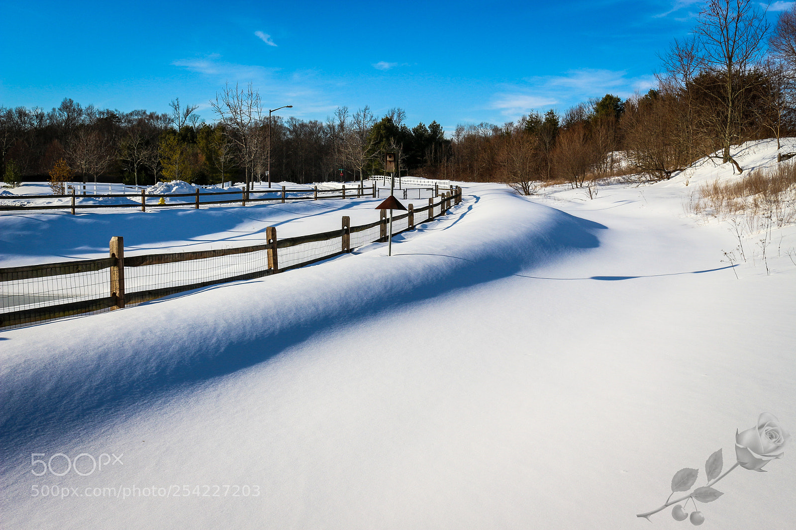 Canon EOS 700D (EOS Rebel T5i / EOS Kiss X7i) sample photo. Finalcutwatermark photography