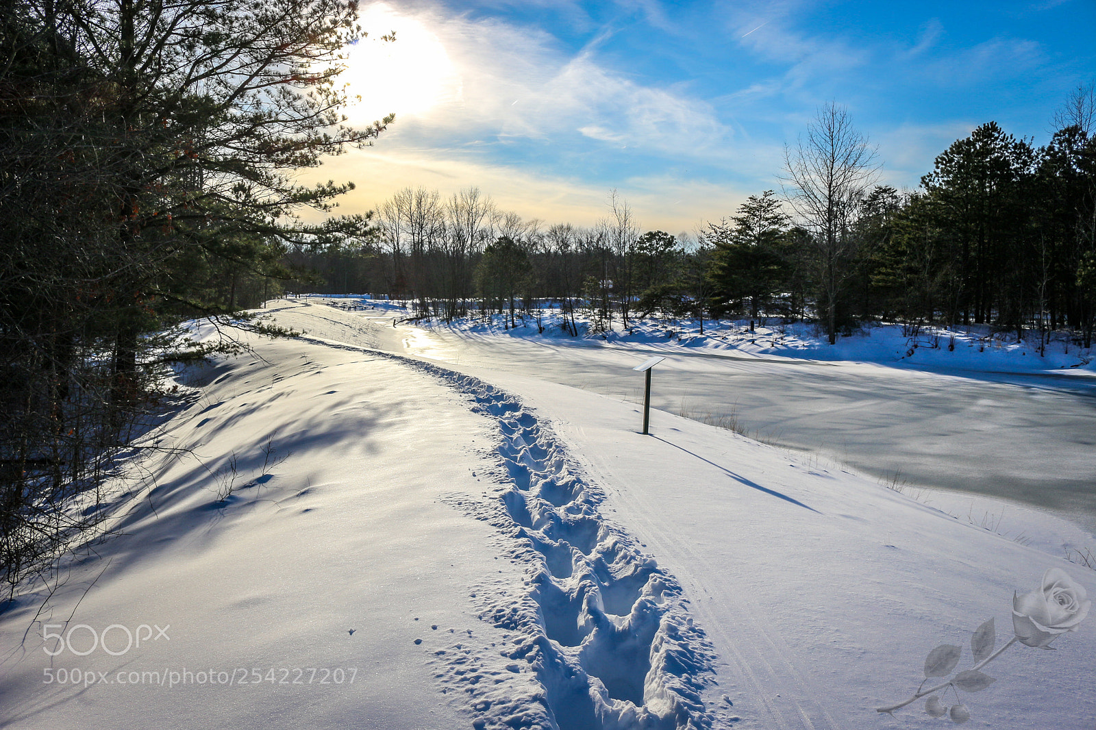 Canon EOS 700D (EOS Rebel T5i / EOS Kiss X7i) sample photo. Finalcutwatermark photography