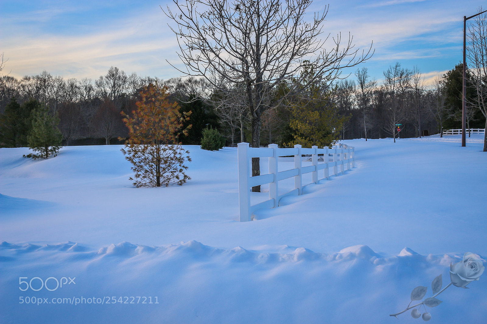 Canon EOS 700D (EOS Rebel T5i / EOS Kiss X7i) sample photo. Finalcutwatermark photography