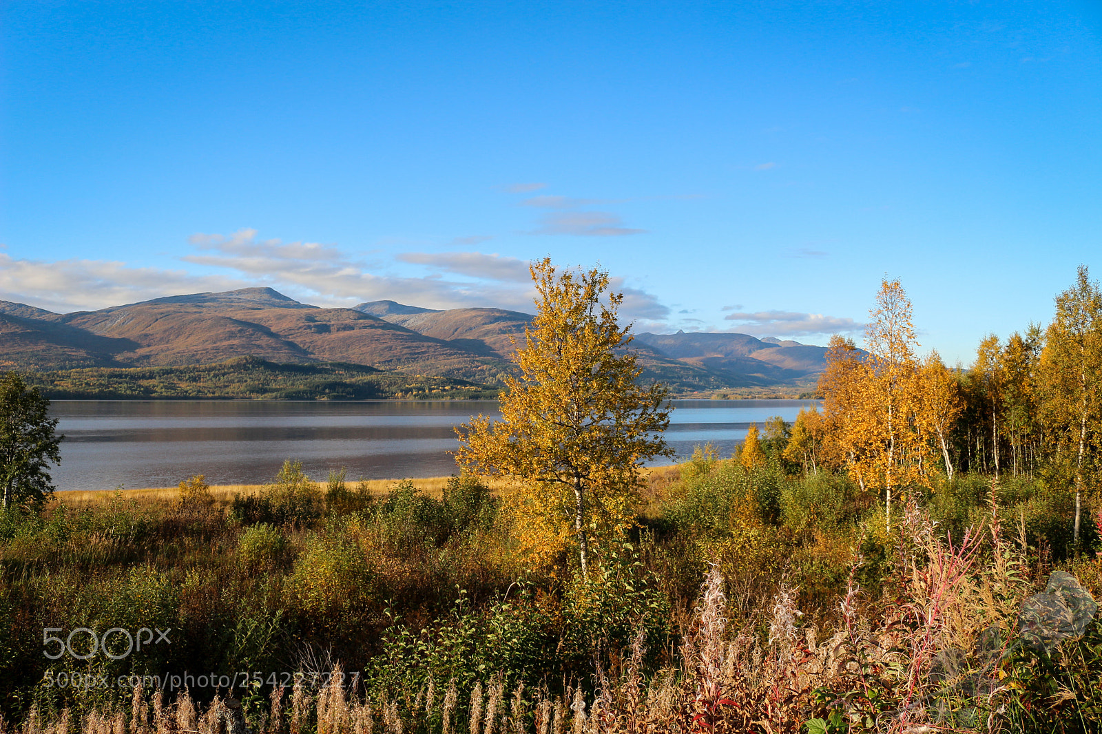 Canon EOS 700D (EOS Rebel T5i / EOS Kiss X7i) sample photo. Finalcutwatermark photography