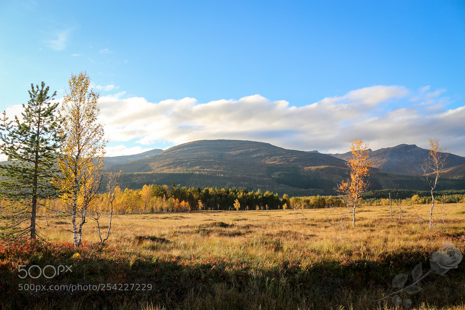 Canon EOS 700D (EOS Rebel T5i / EOS Kiss X7i) sample photo. Finalcutwatermark photography