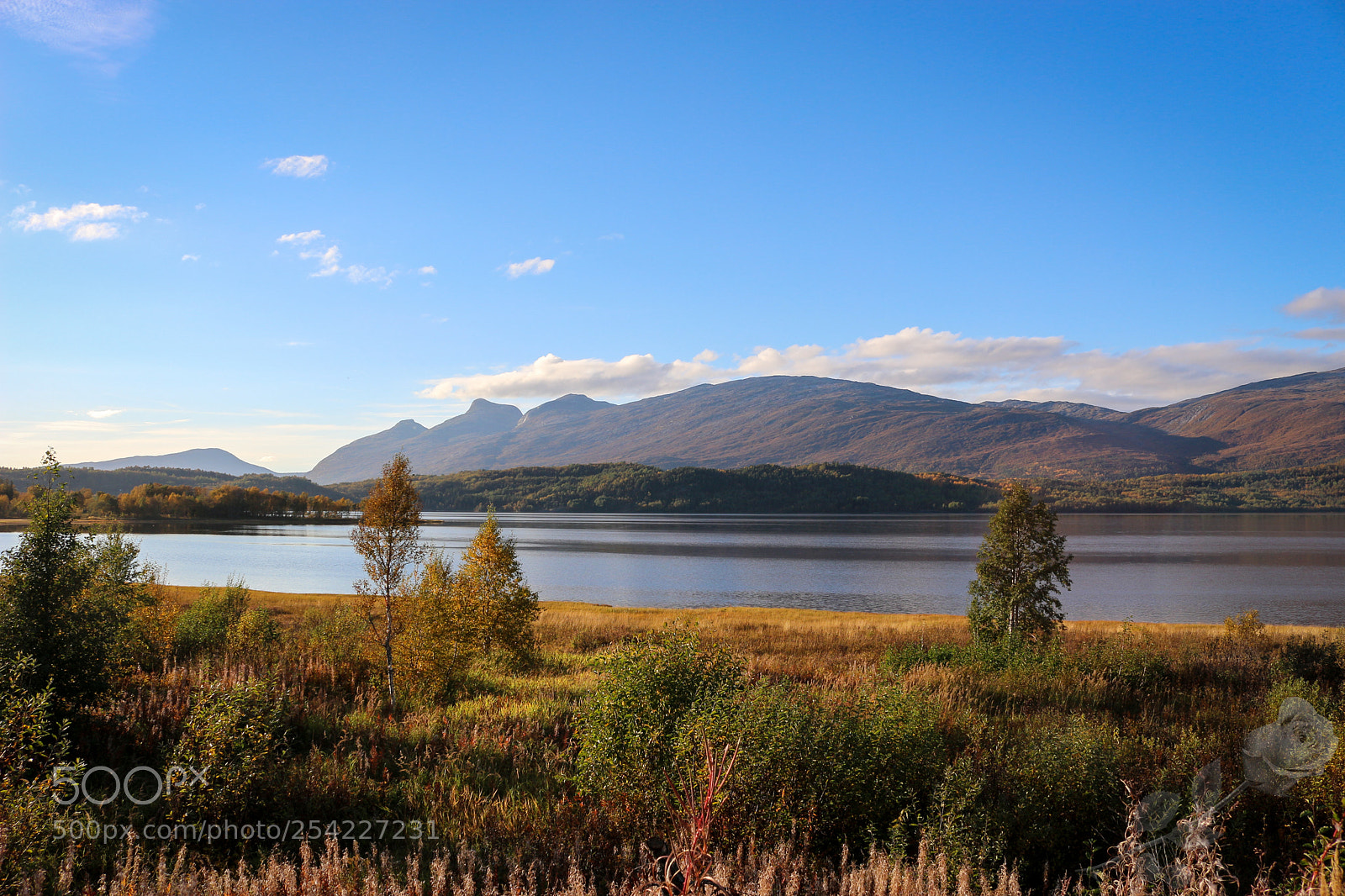 Canon EOS 700D (EOS Rebel T5i / EOS Kiss X7i) sample photo. Finalcutwatermark photography