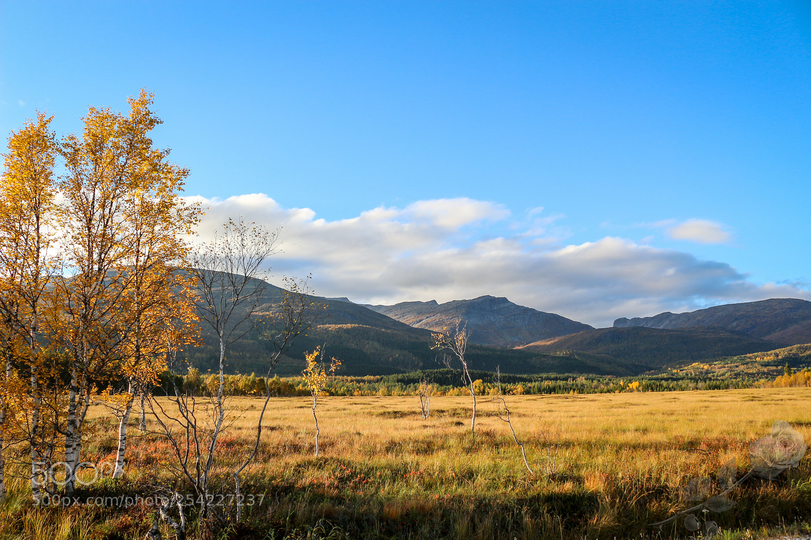 Canon EOS 700D (EOS Rebel T5i / EOS Kiss X7i) sample photo. Finalcutwatermark photography