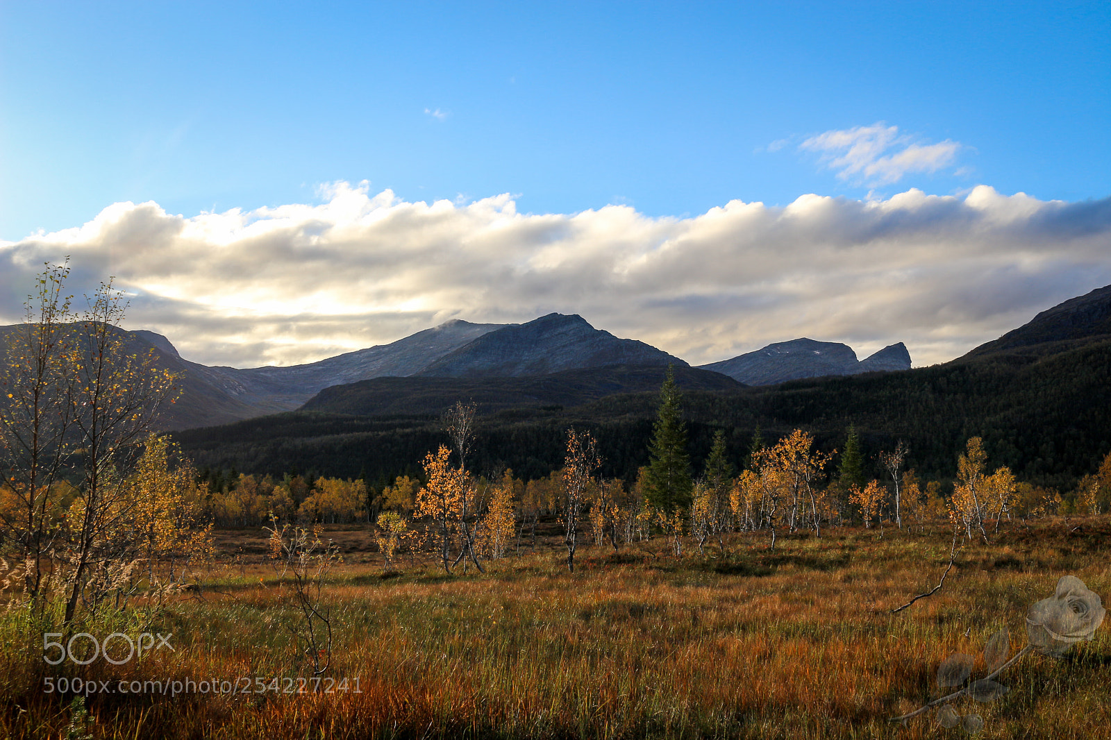 Canon EOS 700D (EOS Rebel T5i / EOS Kiss X7i) sample photo. Finalcutwatermark photography