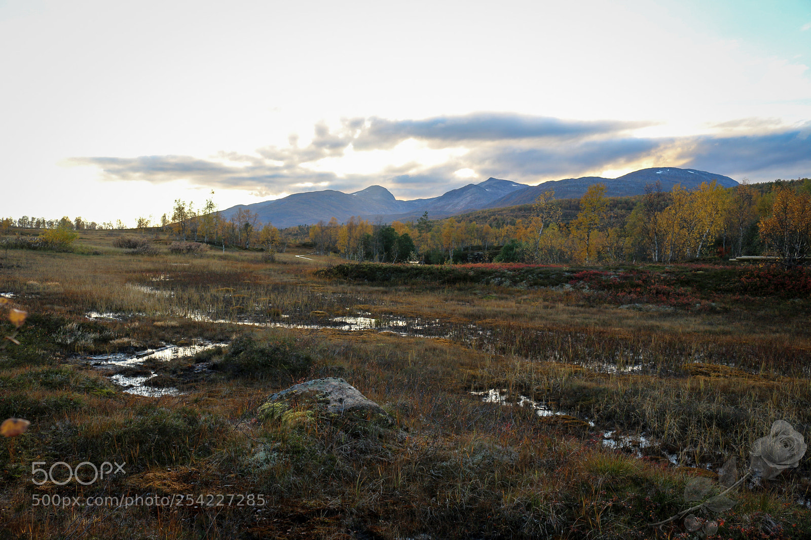 Canon EOS 700D (EOS Rebel T5i / EOS Kiss X7i) sample photo. Finalcutwatermark photography