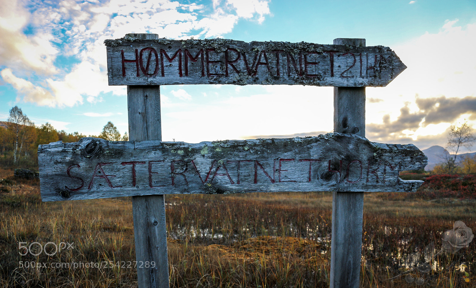 Canon EOS 700D (EOS Rebel T5i / EOS Kiss X7i) sample photo. Finalcutwatermark photography
