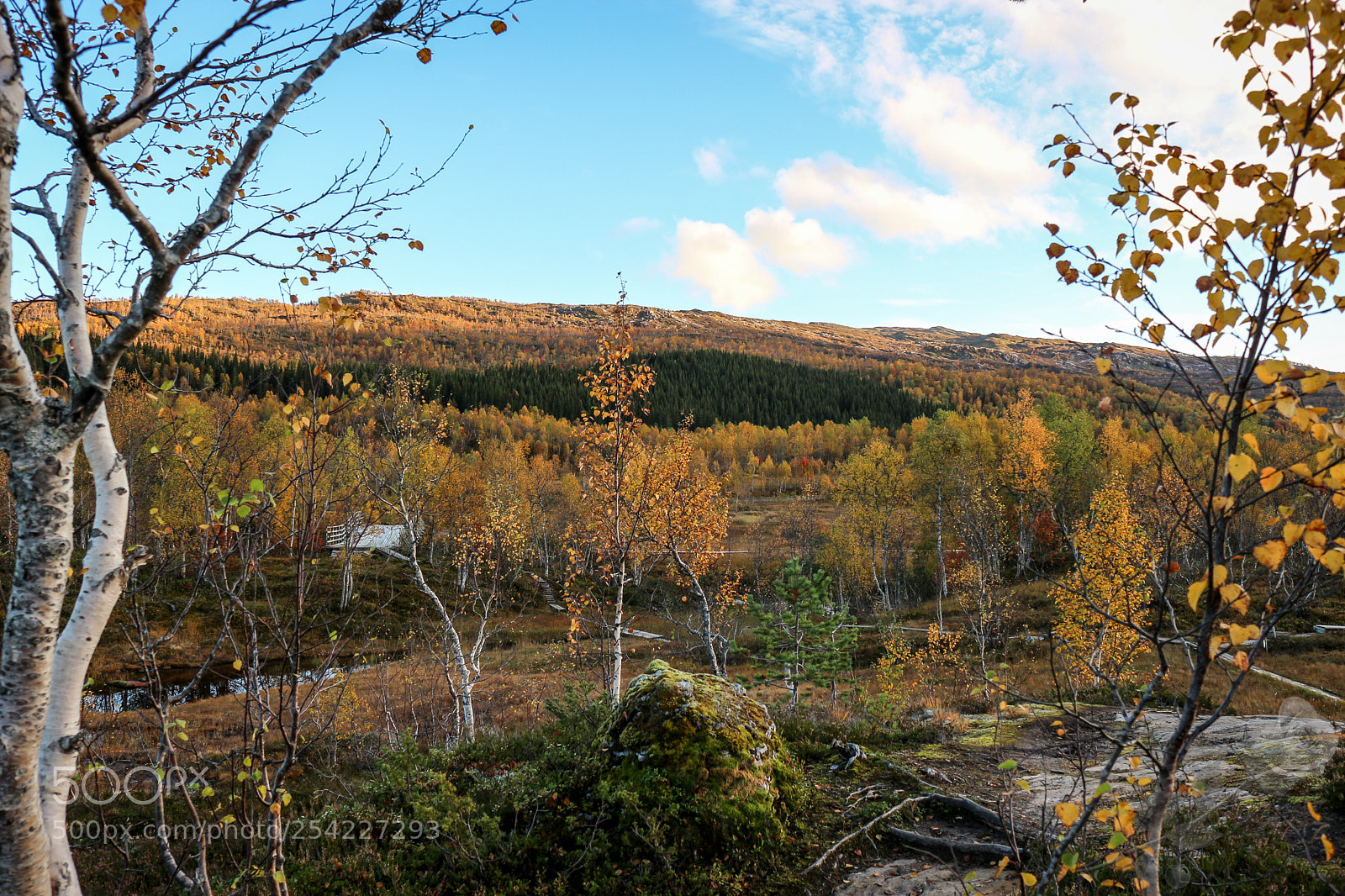 Canon EOS 700D (EOS Rebel T5i / EOS Kiss X7i) sample photo. Finalcutwatermark photography