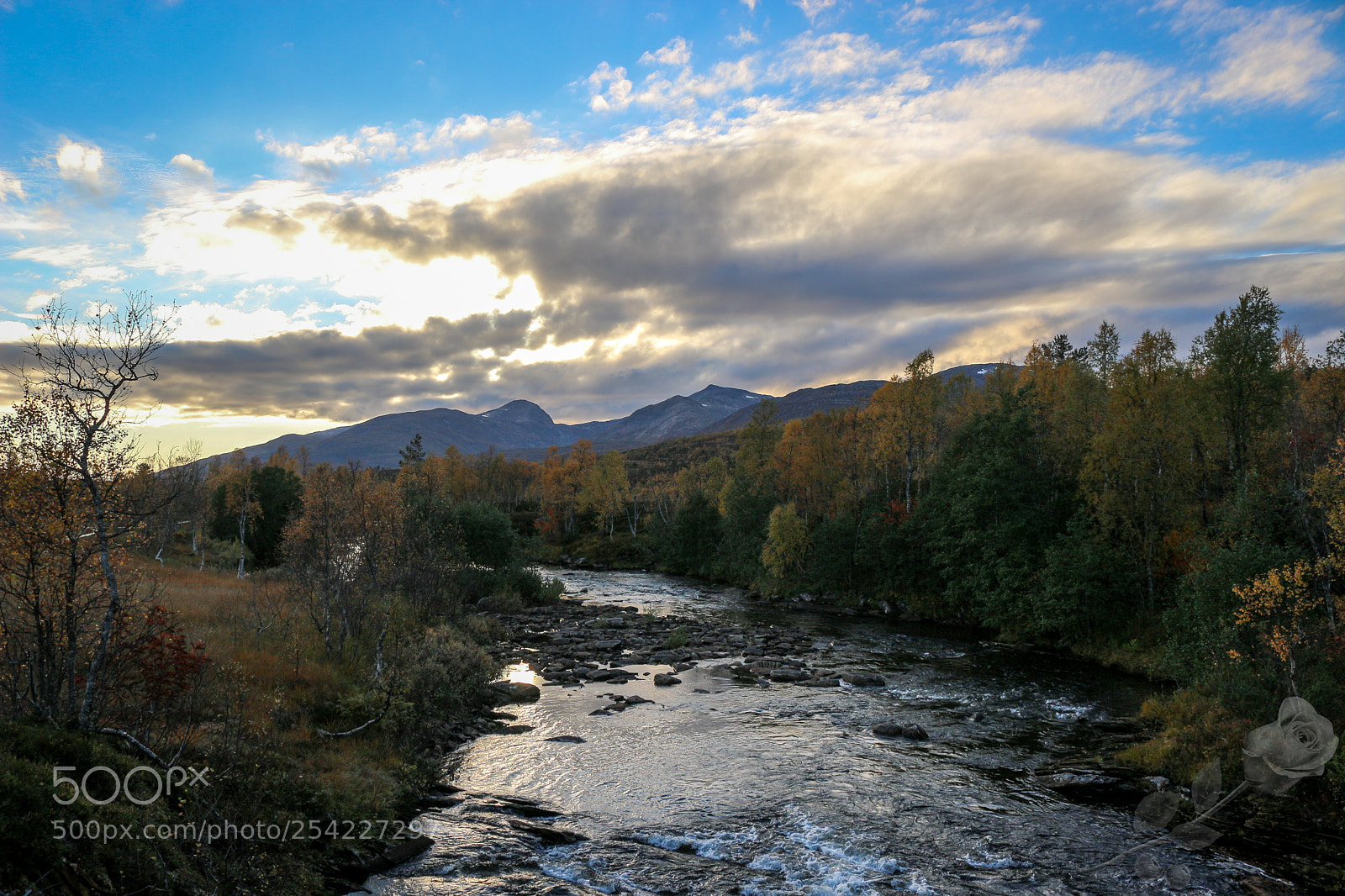 Canon EOS 700D (EOS Rebel T5i / EOS Kiss X7i) sample photo. Finalcutwatermark photography