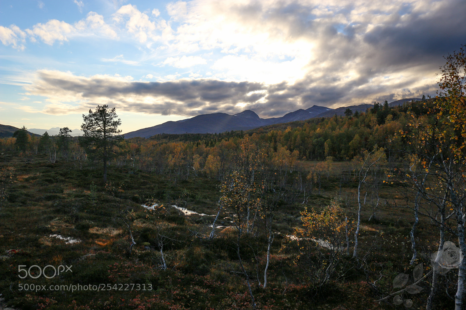 Canon EOS 700D (EOS Rebel T5i / EOS Kiss X7i) sample photo. Finalcutwatermark photography